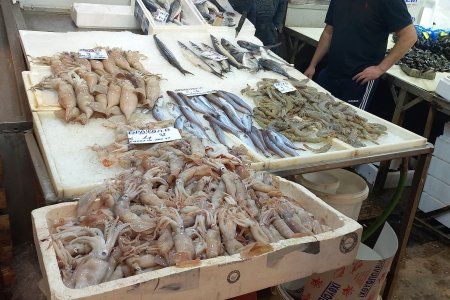 Ägäis 14. – 24.10.2023 - Markthallen